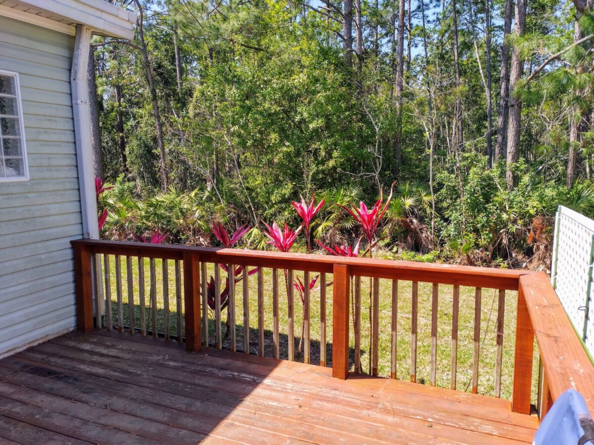 IMG_20250312_130533_HDR